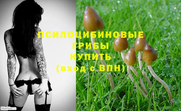 мяу мяу мука Михайловск