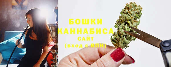 PSILOCYBIN Михайлов