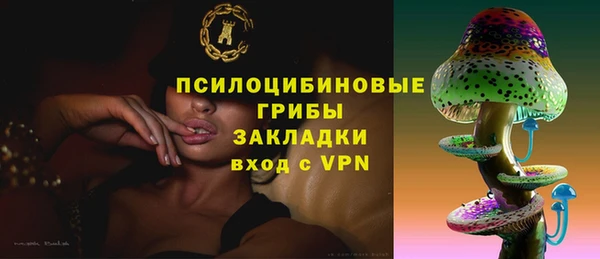 PSILOCYBIN Михайлов
