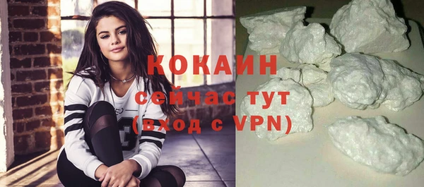 PSILOCYBIN Михайлов