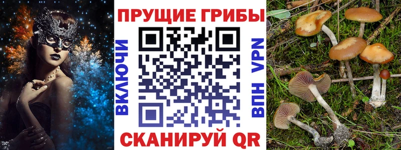 blacksprut зеркало  маркетплейс как зайти  Миллерово  Псилоцибиновые грибы Psilocybine cubensis  как найти закладки 