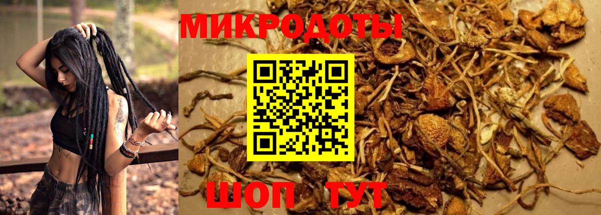 Галлюциногенные грибы Cubensis Миллерово